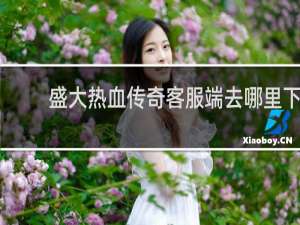 盛大热血传奇客服端去哪里下