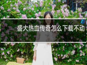 盛大热血传奇怎么下载不动