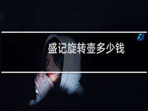 盛记旋转壶多少钱
