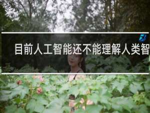 目前人工智能还不能理解人类智能