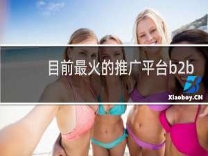 目前最火的推广平台b2b