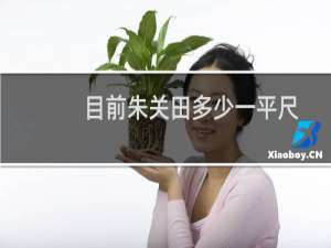 目前朱关田多少一平尺
