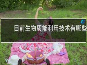 目前生物质能利用技术有哪些