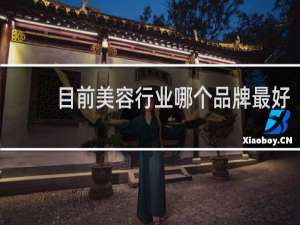 目前美容行业哪个品牌最好