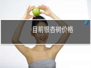 目前银杏树价格