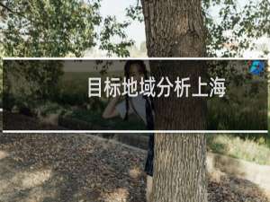 目标地域分析上海（目标地域分析）