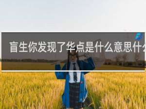 盲生你发现了华点是什么意思什么梗