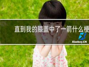 直到我的膝盖中了一箭什么梗