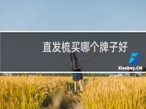 直发梳买哪个牌子好