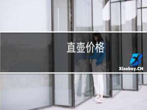 直壶价格