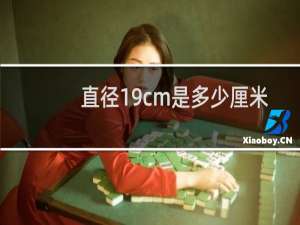 直径19cm是多少厘米