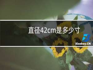 直径42cm是多少寸