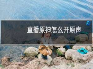 直播原神怎么开原声