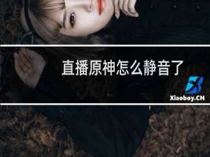 直播原神怎么静音了
