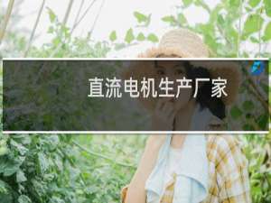 直流电机生产厂家