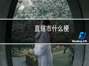 直辖市什么梗