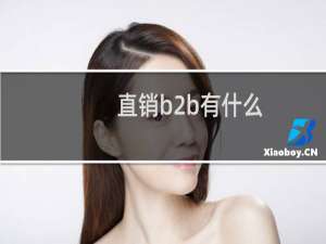 直销b2b有什么