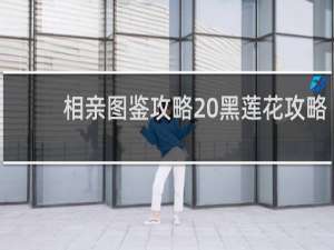 相亲图鉴攻略 黑莲花攻略
