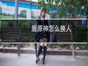 盾原神怎么换人