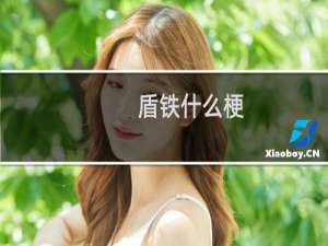 盾铁什么梗