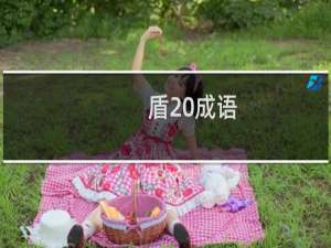 盾 成语