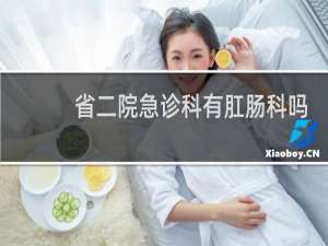 省二院急诊科有肛肠科吗