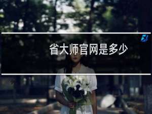 省大师官网是多少