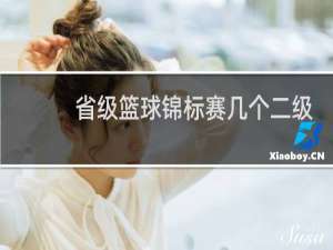 省级篮球锦标赛几个二级证