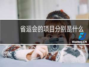 省运会的项目分别是什么
