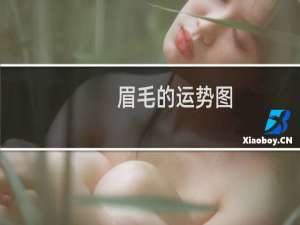 眉毛的运势图