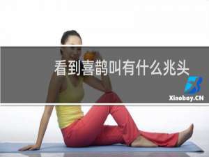 看到喜鹊叫有什么兆头意思（在什么时候看到喜鹊叫会倒霉）