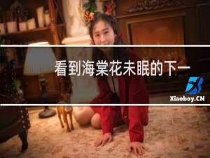 看到海棠花未眠的下一句（看到海棠花未眠下一句）