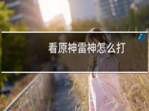 看原神雷神怎么打