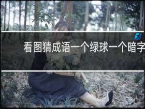 看图猜成语一个绿球一个暗字