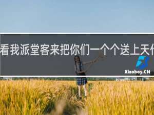 看我派堂客来把你们一个个送上天什么梗