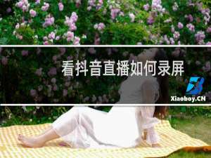 看抖音直播如何录屏
