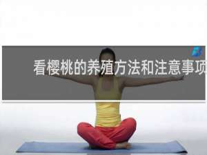 看樱桃的养殖方法和注意事项