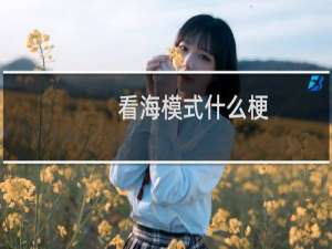 看海模式什么梗？看海模式是什么意思什么梗