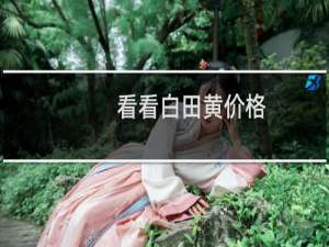 看看白田黄价格