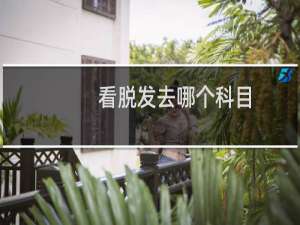 看脱发去哪个科目