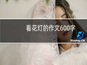 看花灯的作文600字