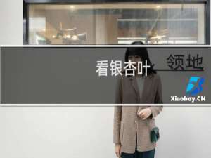 看银杏叶