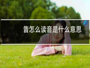 眚怎么读音是什么意思