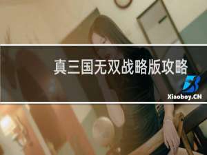 真三国无双战略版攻略