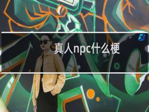 真人npc什么梗