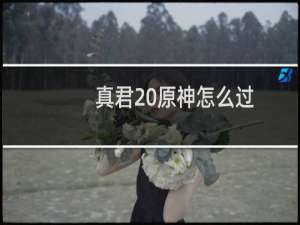真君 原神怎么过
