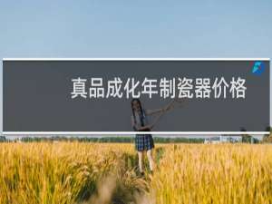 真品成化年制瓷器价格