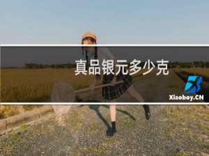 真品银元多少克