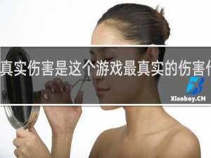 真实伤害是这个游戏最真实的伤害什么梗