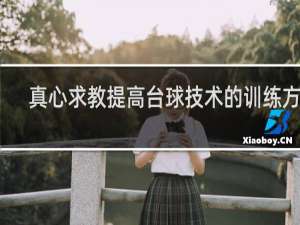 真心求教提高台球技术的训练方法
